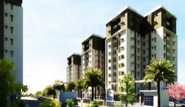 Featured Image of Provident Vriksha