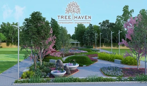 Featured Image of Provident Tree Haven